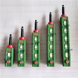 BAK31-6K BAK63-8K/5A36VIIC防爆控制按鈕