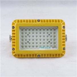 户外仓库加油站车间30W耐高温防爆投光灯